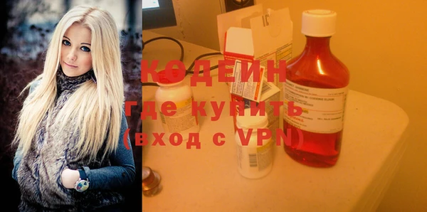 мдпв Вяземский