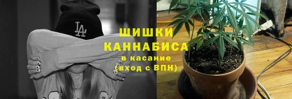 мдпв Вяземский