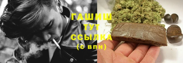 мдпв Вяземский