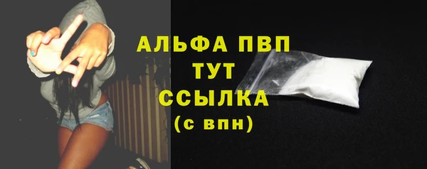 мдпв Вяземский
